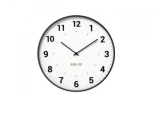 Explore Scientific Rac1003 Analogico Bianco Metallo