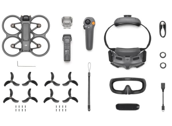 Dji Avata 2 Fly More Combo (1 Batteria)